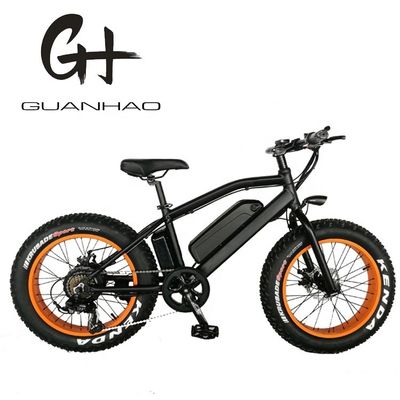 750W 20inch Fat Tire Mini Mountain Electric Bicycle ZOOM Stem Range per Potenza 10-30 km