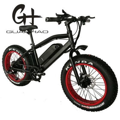 750W 20inch Fat Tire Mini Mountain Electric Bicycle ZOOM Stem Range per Potenza 10-30 km