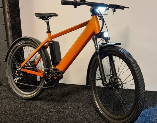1000W 48V 14AH batteria nascosta nascosta E-MTB display LCD mountain bike elettrica per il tuo