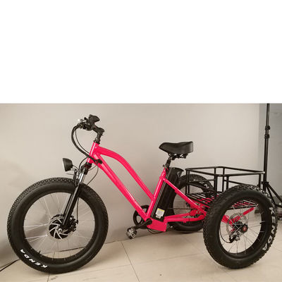 Bicicletta elettrica a 3 ruote da 500 W con cerchiera in alluminio grasso e certificato EN71