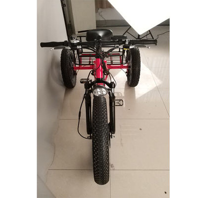 Bicicletta elettrica a 3 ruote da 500 W con cerchiera in alluminio grasso e certificato EN71