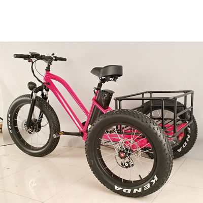 Bicicletta elettrica a 3 ruote da 500 W con cerchiera in alluminio grasso e certificato EN71