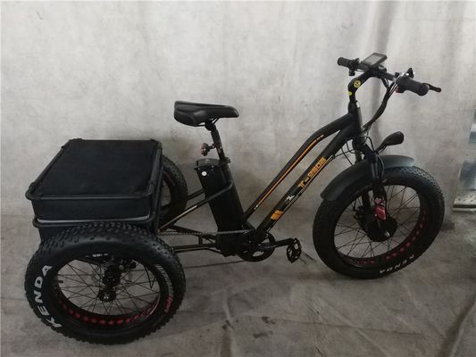 Naviga senza sforzo in città con la nostra bici elettrica a tre ruote da 350W per i ciclisti anziani