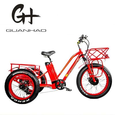 750W Motore anteriore 4.0 Pneumatico neve EN15194 Cargo Triciclo elettrico con freno a disco