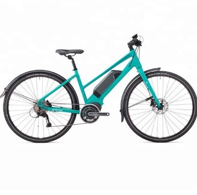 36V 250W 17Ah Motore elettrico medio Unisex City Electric Bike per piloti intelligenti