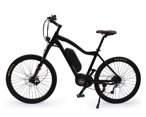 36V 250W 17Ah Motore elettrico medio Unisex City Electric Bike per piloti intelligenti
