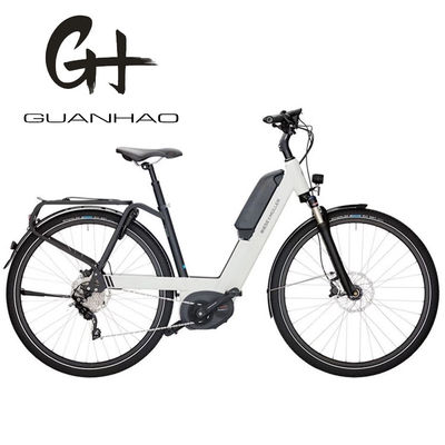 36V 250W 17Ah Motore elettrico medio Unisex City Electric Bike per piloti intelligenti