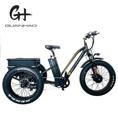 750W Motore anteriore 4.0 Pneumatico neve EN15194 Cargo Triciclo elettrico con freno a disco