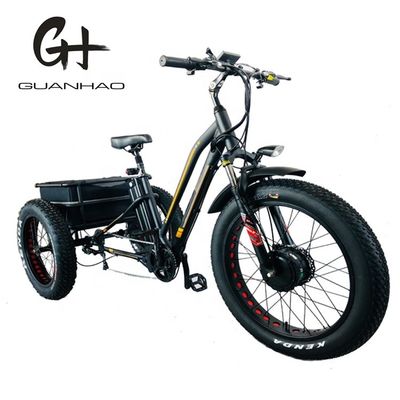750W Motore anteriore 4.0 Pneumatico neve EN15194 Cargo Triciclo elettrico con freno a disco