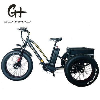 750W Motore anteriore 4.0 Pneumatico neve EN15194 Cargo Triciclo elettrico con freno a disco