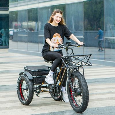 750W Motore anteriore 4.0 Pneumatico neve EN15194 Cargo Triciclo elettrico con freno a disco