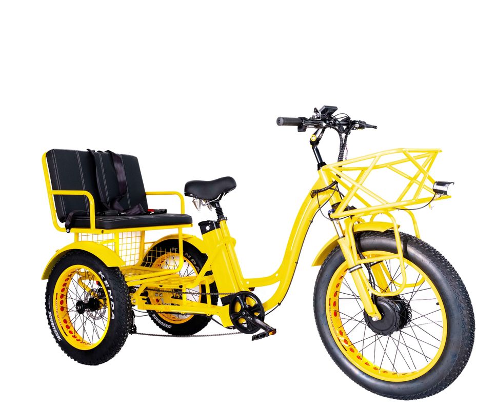 Rickshaw elettrico 750W Motor BaFang anteriore 21AH batteria al litio 60KM USA Adulto 24 &quot;Fat Snow Grande pneumatico Sedile passeggero