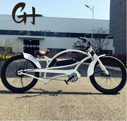 Pneumatico da 3,0 pollici da 24 pollici per uomo 48V 17AH OEM/ODM 750W 28MPH Single Speed Bafang Motor Display Chopper Bicicletta elettrica