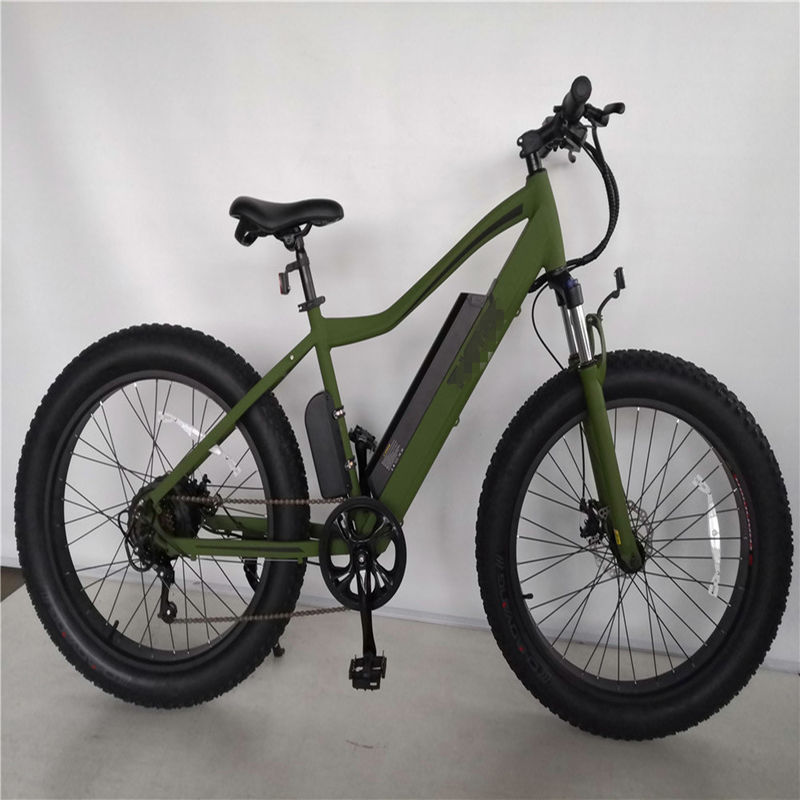 16.7 Ah Capacità della batteria Bicicletta elettrica da montagna per adulti 26 pollici di gomma grassa Ebike