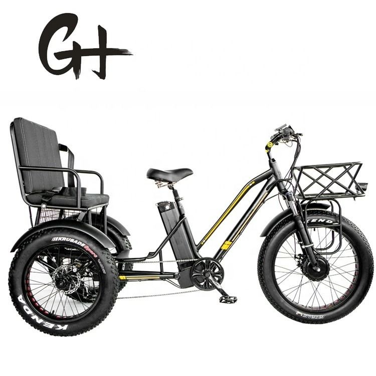 24&quot; 48V Ruota anteriore 750W 45KM/H Max Loading 300KG 21AH Batteria al litio Triciclo elettrico