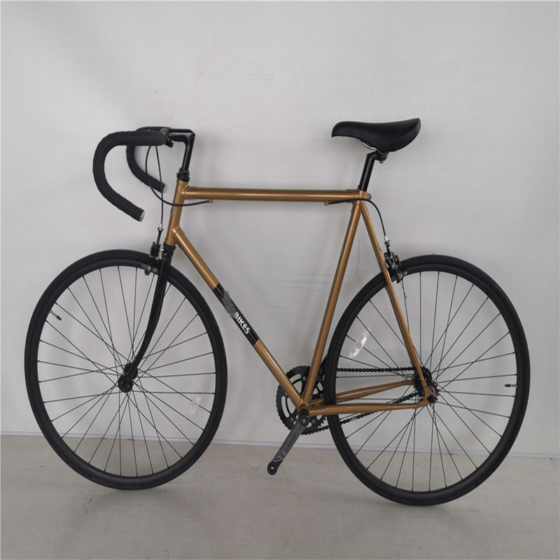 Chromoly Frame 700C Vintage Fixie Bike con capacità di carico del freno a doppio V fino a 150 kg