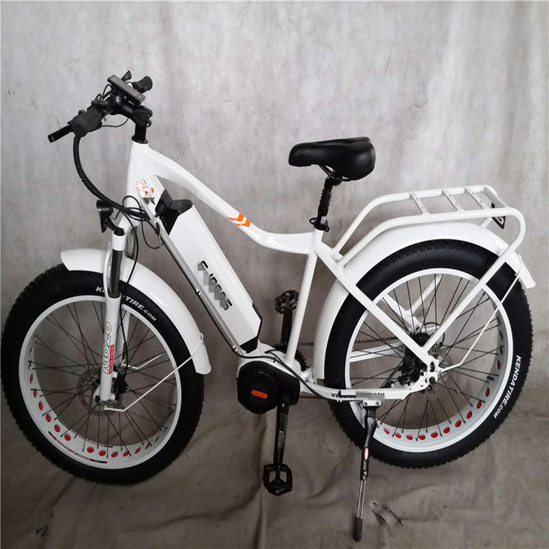 1000W Bafang Mid Drive Motor Alloy Rear Carrier Central Electric Bike con standard