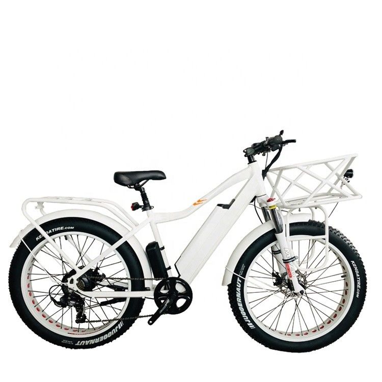 26&quot; 4.0 Big Snow Fat Tire Electric Bike con freno a disco e 1000W 48V 17AH Rear BaFang Motor