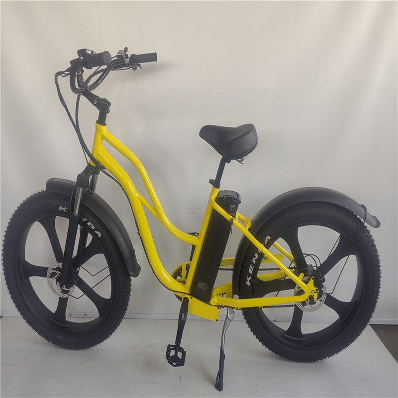 Motore Bafang da 26 pollici 750W 48V 5 Spokes Step Through Big Tires Fat Tire Bici elettrici