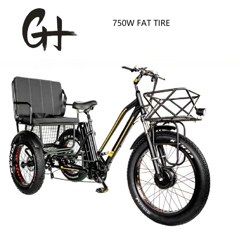 Bafang 750W triciclo elettrico a motore con gomma di grasso E tre ruote e sedile passeggeri