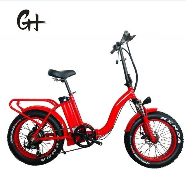 Bicicletta elettrica pieghevole da 20 pollici con motori da 48V 500W 750W 1000W e progettazione step-through