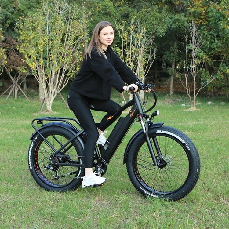 48V 1000W 17AH batteria al litio OEM EN15194 CE Customized Electric MTB Mountain Fat Tire Bike