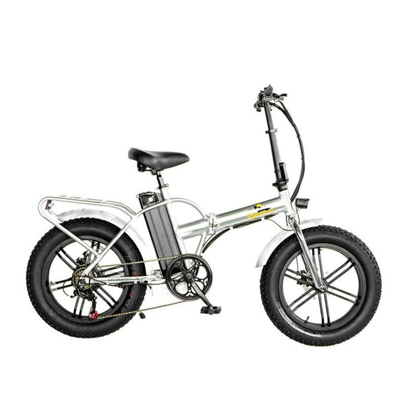 750W 1000W 48V Fat Tire 4,0" Folding Silver Frame 5 Specchi Electric Folding Bike 20 Inch