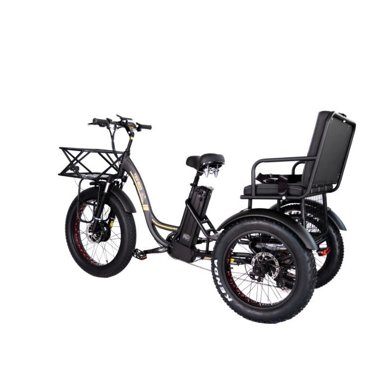 Taxi rickshaw elettrico con motore da 48V 1000W Bafang Crank e gomma Kenda 24*4.0