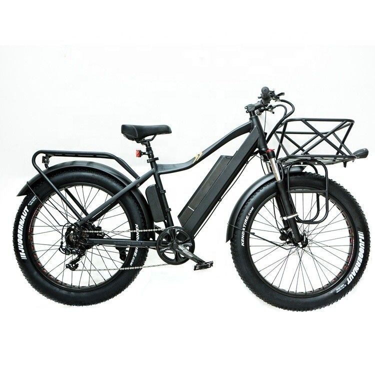 Bici elettrica da montagna per pneumatici grassi da neve con mozzo posteriore 52V 1000W Bafang 17AH al litio 55KM/H