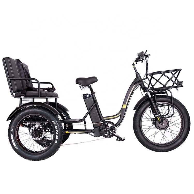 Triciclo elettrico leggero a telaio in alluminio 48V 750W 21AH 50KM/H per passeggeri adulti