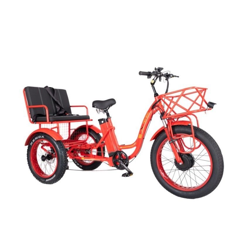 48V E Trike 3 ruote 750 Watt Fat Tire Rickshaw con Bafang 750W Motore e prestazioni