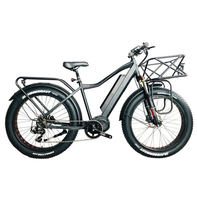 Mercato USA EN15194 CPSC 48V 1000W 17AH Electric Mountain Bike con motore medio Bafang