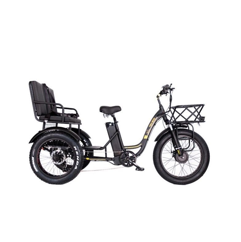 16.7 Ah Capacità della batteria 750 WATTRICICLO ELETTRICO DI RICKSHAW per passeggeri