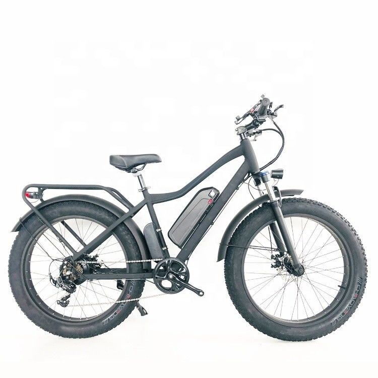 48V 1000W 17AH 50KM/H USA OEM Customized Fat Tire Electric Mountain Bike per il carico
