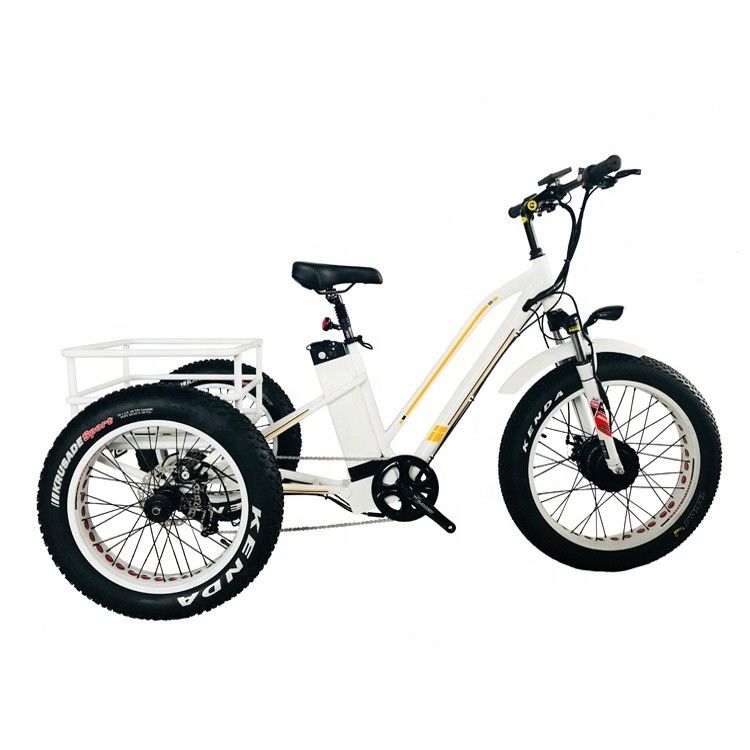 48V 14AH Cesto posteriore 4.0 pneumatici da neve triciclo elettrico da carico con certificazione CE USA