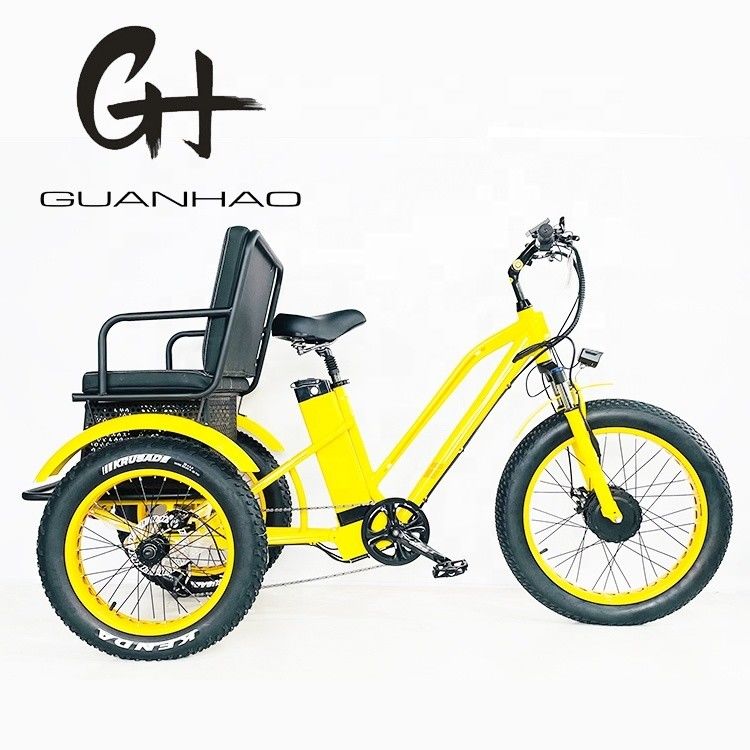 US Fat Tire Triciclo elettrico per passeggeri con motore Bafang da 1000 W e pedale in alluminio
