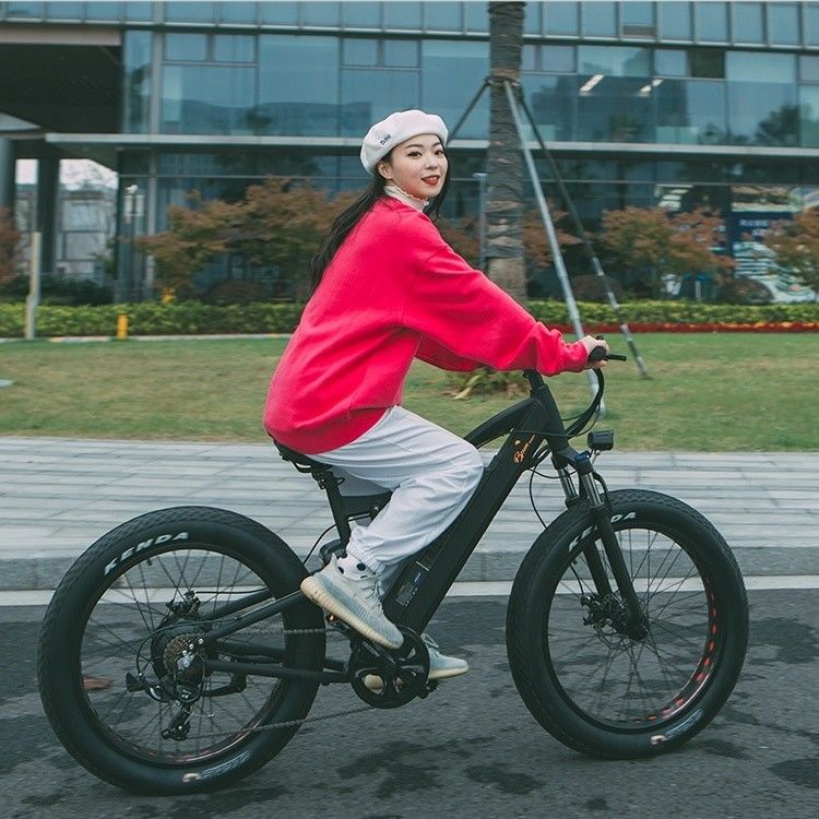 24 Inch Fat 4.0 Pneus 48V 1000W 50KM/H Full Suspension 21AH Electric Mountain Bike E-Bikes
