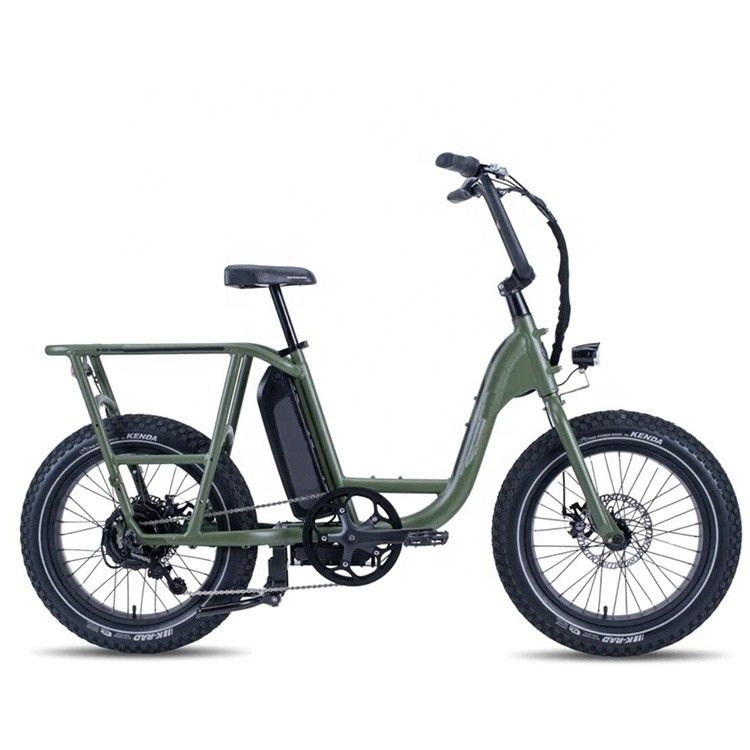 48V 1000W 32MPH Electric Hybrid Cargo Bike con pneumatico 20&quot;4.0 Fat e coppia di 80-90 Nm