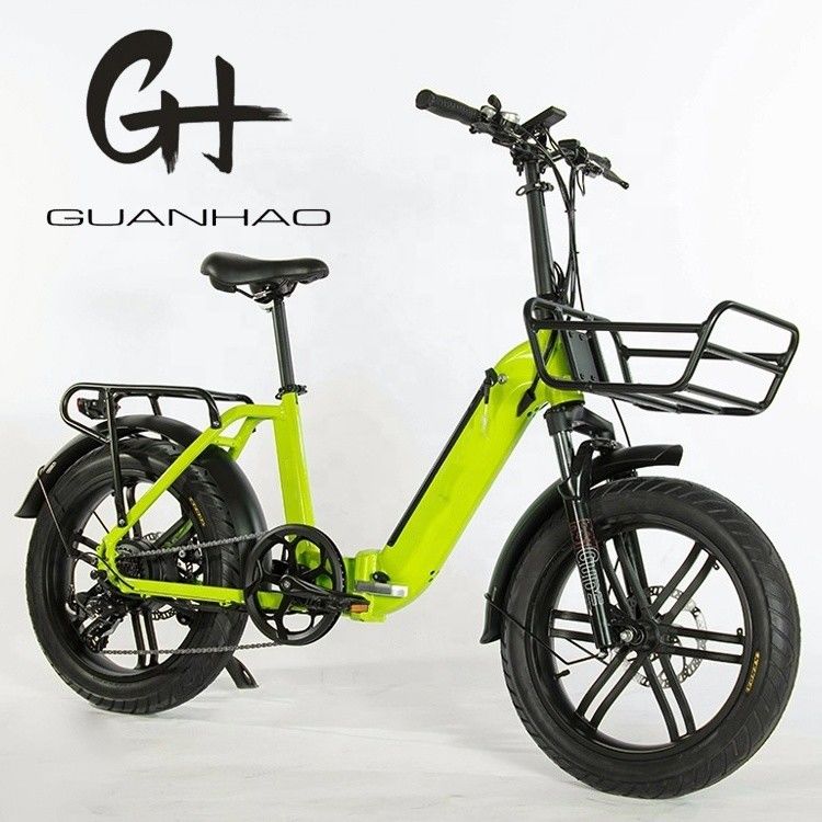 Motore Magwheel 750W tramite telaio pieghevole in alluminio sospensione forchetta bici pieghevole elettrica
