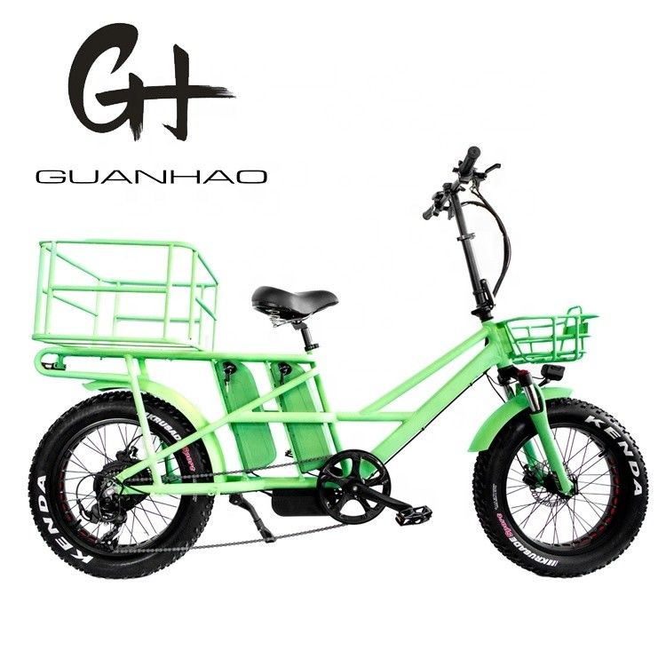 20 pollici di sospensione CE OEM 48V 34AH 1000W 8FUN MOTORE cinese doppia batteria bicicletta elettrica