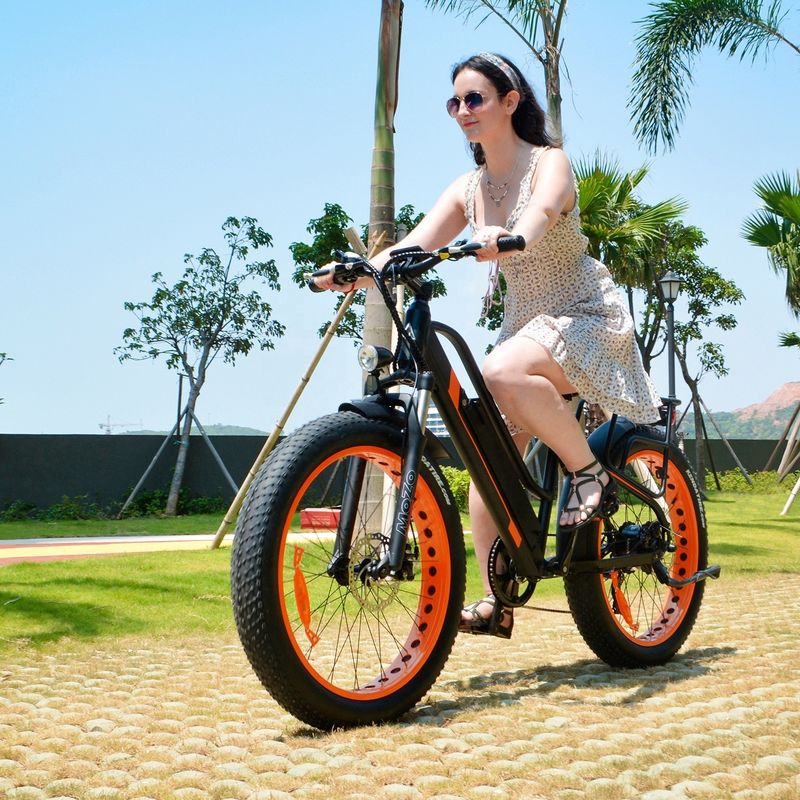 750W 50KM/H A2B CE OEM cinese 48V Motor Fat Tire Electric Mountain Bike Buona Bella