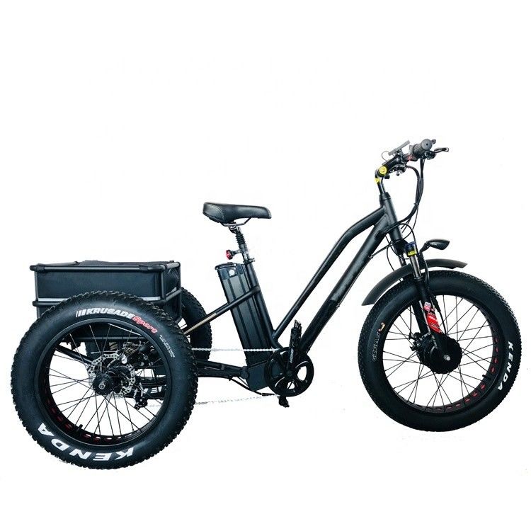 Gran Potenza 48V 13AH 750W 45KM/H UL2849 Bafang Motor Frontale Triciclo a pneumatici elettrici 20