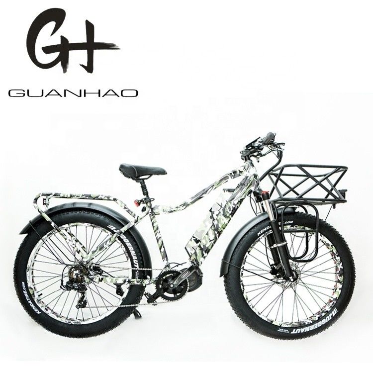 Freno a disco 26 pollici 1000W Electric Mountain Bike con batteria da 17AH e motore BaFang M620