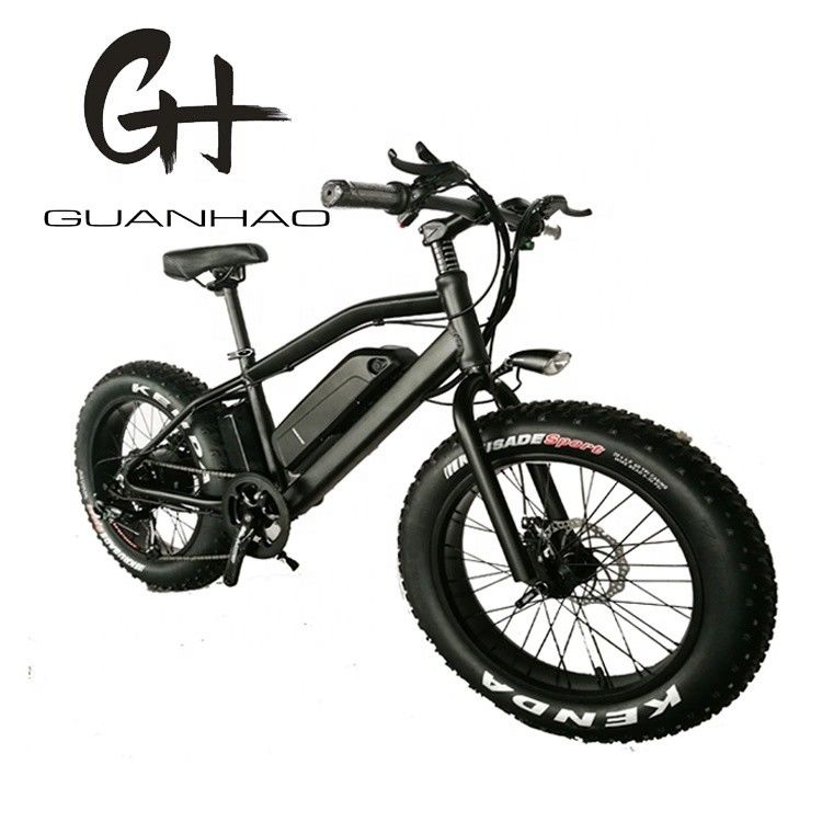 750W 20inch Fat Tire Mini Mountain Electric Bicycle ZOOM Stem Range per Potenza 10-30 km
