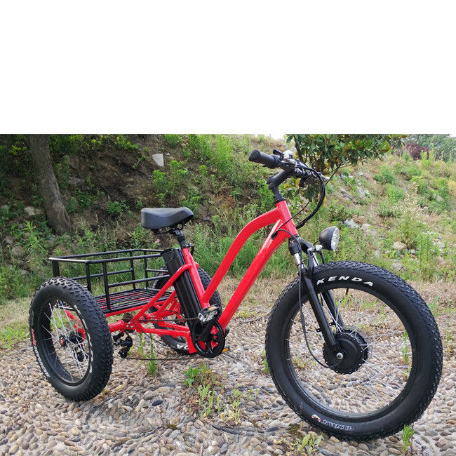 Bicicletta elettrica a 3 ruote da 500 W con cerchiera in alluminio grasso e certificato EN71