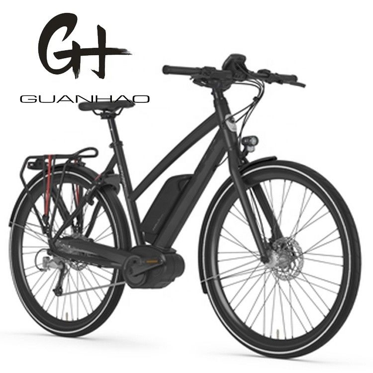 36V 250W 17Ah Motore elettrico medio Unisex City Electric Bike per piloti intelligenti