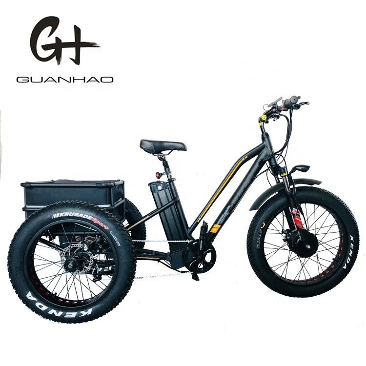 750W Motore anteriore 4.0 Pneumatico neve EN15194 Cargo Triciclo elettrico con freno a disco